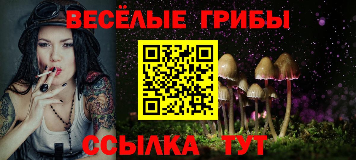 Галлюциногенные грибы Magic Shrooms  Вход с VPN  Бирск 